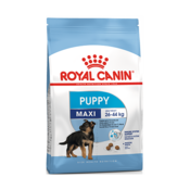 Royal Canin Maxi Puppy