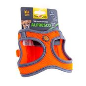 GimDog Alfresco Harness