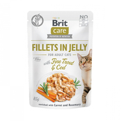 Brit Care Cat Pouch Trout & Cod in Jelly