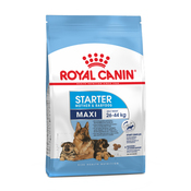 Royal Canin Maxi Starter