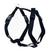 GimDog Harlem H-Harness