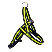 GimDog Alfresco Y-Harness