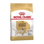 Royal Canin Labrador Retriever Adult