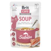 Brit Care Soup with Salmon