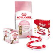 Royal Canin Набір Royal Canin Kitten Sterilised