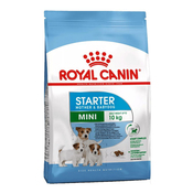 Royal Canin Mini Starter