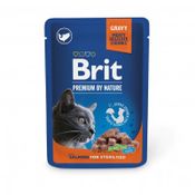 Brit Premium with Salmon for Sterilised