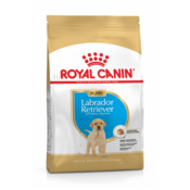 Royal Canin Labrador Retriever Puppy