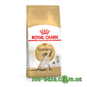 Royal Canin Siamese Adult