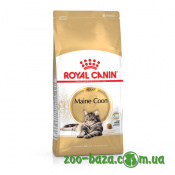 Royal Canin Maine Coon Adult