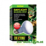 Exo Terra Sun Glo Neodymium R20