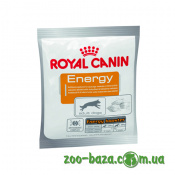 Royal Canin Energy